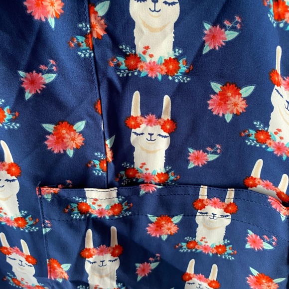 Scrub - Picture 2 of 4